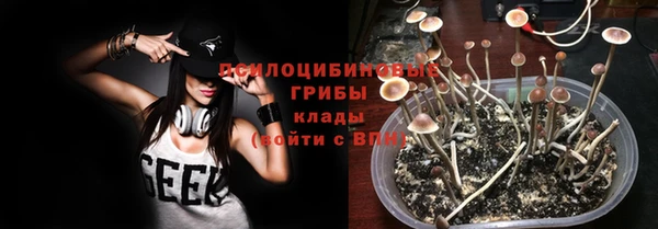Альфа ПВП Алзамай