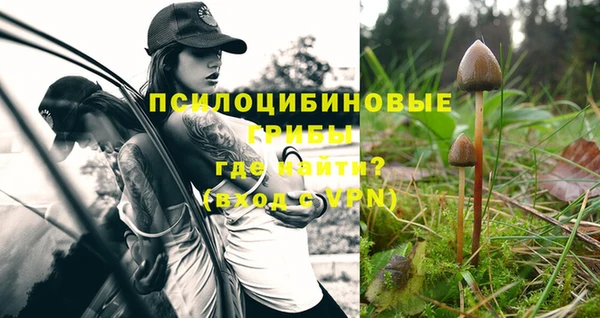 Альфа ПВП Алзамай