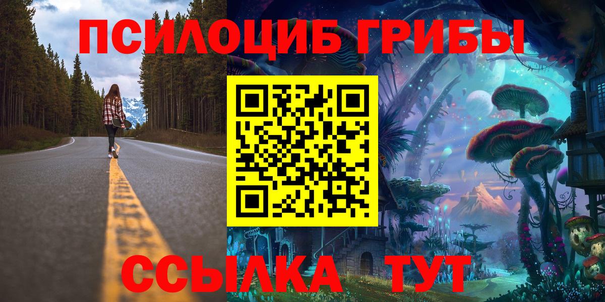 Галлюциногенные грибы Psilocybine cubensis Боровичи